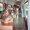 Le ricostruzioni, Museo di Storia Naturale di Firenze - Sezione di Geologia e Paleontologia.