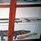 Sala Egizia: armi, caimano e vipera imbalsamati, Museo Missionario del Convento di San Francesco, Fiesole.