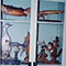 Animali imbalsamati, Scuole Pie Fiorentine, Firenze.