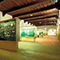 Veduta d'insieme della seconda sala del Museo Fiorentino di Preistoria "Paolo Graziosi", Firenze.