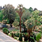 Panoramica dall'alto del Giardino, Orto Botanico "Giardino dei Semplici", Firenze.