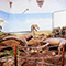 Il diorama sui dinosauri, Museo Civico Paleontologico, Empoli.
