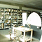 Veduta d'insieme dell'Archivio della Ceramica Sestese, Sesto Fiorentino.