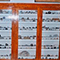 Veduta d'insieme della collezione mineralogica, Liceo Scientifico "A. Vallisneri", S. Anna, Lucca.