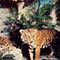 Diorama con coppia di tigri siberiane, Museo Civico Zoologico - Villa Baciocchi, Capannoli.