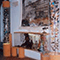 Sala d'ingresso, Museo Civico Zoologico - Villa Baciocchi, Capannoli.