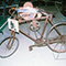 Bicicletta da arrotino di fabbricazione artigianale, Museo della Civilt� del Lavoro, Venturina, Campiglia Marittima.