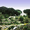 Veduta dell'Orto Botanico, Museo di Storia Naturale del Mediterraneo, Livorno.
