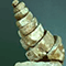 Modello interno di Gasteropode (Cerithium giganteum), Museo di Storia Naturale e del Territorio di Calci.