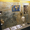 Una vetrina nella Sala dell'Uomo, Museo di Storia Naturale del Mediterraneo, Livorno.
