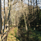 Fosso dei Tritoni, Parco del Neto, Calenzano.