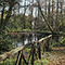 Laghetto dell'Airone, Parco del Neto, Calenzano.