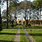Giardino di Villa Montalvo, Campi Bisenzio.