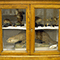 Collezione naturalistica, Istituto Calasanzio, Empoli.