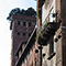 Palazzo Guinigi con la suggestiva torre, Lucca.