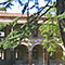 Chiostro del Liceo Socio-psico-pedagogico e Liceo delle Scienze Sociali "Luisa Amalia Paladini", Lucca.