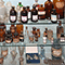 Antiche vetrerie della Farmacia La Fenice, Seravezza.