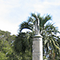 Parco Pubblico Sandro Pertini, Livorno.