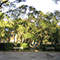 Parco pubblico di Villa Corridi, Livorno.