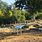 Parco Archeologico del Lago dell'Accesa, Massa Marittima.