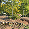 Parco Archeologico del Lago dell'Accesa, Massa Marittima.