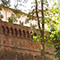 Giardino di Villa Baciocchi, Capannoli.