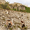 Strutture dell'ex cava di nord-est, San Giuliano Terme.