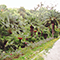 Giardino Botanico dell'Ottone, Portoferraio.
