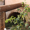 Bottaccio (1577) dove si raccoglieva l'acqua della gora che azionava il mulino, la ferriera e i forni, Ex Complesso Siderurgico ILVA, Follonica.