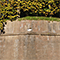 Mura di Lucca: data sul Baluardo San Regolo.