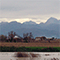 Ex lago di Bientina fra Altopascio e Bientina.