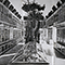 Sala dei prodotti vegetali nel Museo Botanico Fiorentino nel 1874, in F. Parlatore, "Les collections botaniques du Mus�e royal de physique et d'histoire naturelle de Florence", Firenze, 1874.
