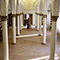 Interno della Biblioteca dell'Archicenobio di Monte Oliveto Maggiore.
