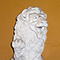 Statua nel cortile della casa di Giovanni Battista Amici, Firenze.