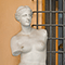 Statua nel cortile della casa di Giovanni Battista Amici, Firenze.