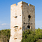 Torre medicea di avvistamento nei pressi della Torre Nuova, San Vincenzo.