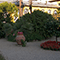 Orto Botanico "Giardino dei Semplici", Firenze.