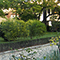 Il giardino del Museo Archeologico di Firenze.