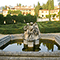 Fontana nel Giardino di Villa Schifanoia, Fiesole.