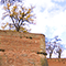 Fortezza Medicea di Siena.