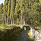Un vialetto nel Bosco Inglese del Castello di Brolio, Gaiole in Chianti.