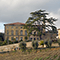 Un albero secolare nel Giardino di Villa Monaciano, Castelnuovo Berardenga.