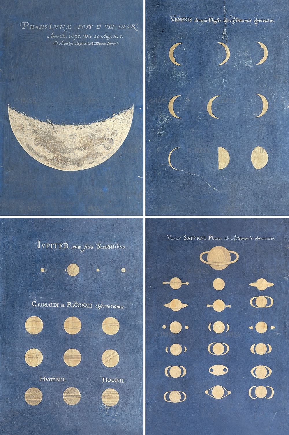 Maria Clara Eimmart, Phase of the Moon, Phases of Venus, Aspect of Jupiter, Aspect of Saturn