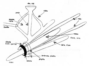 Structure and components of the sowing plow