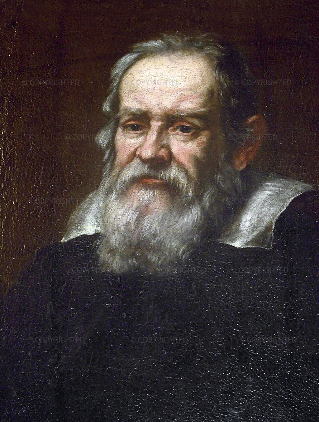 1640-1650, Oil on canvas, cm 60 x 50, New York, American Natural History