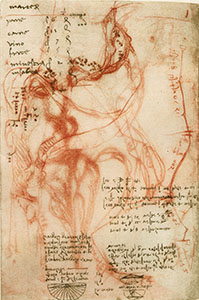 Codice Arundel, 148v. - Studi sul corso dell'Arno e del Mugnone con appunti di matematica e lista della spesa, 1504.