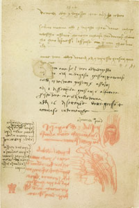 Codex Arundel, 271v. - Hydrographic studies and memorandum of Saturday, August 3 ("Jachopo Tedescho came to stay with me ...") and Friday, August 9, 1504 ("Tommaso" and "Salai").