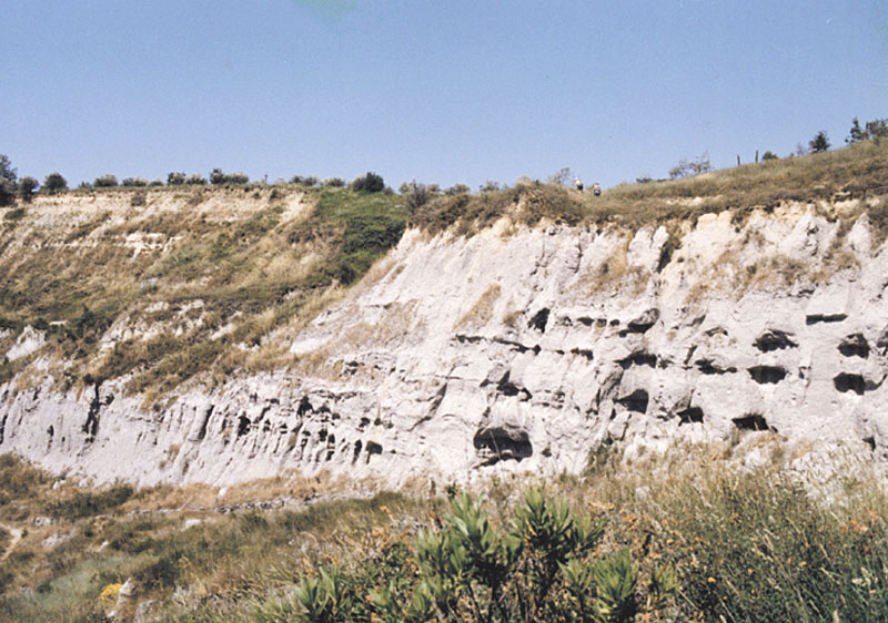 La cava di Spicchio ("taglio di Collegonzoli"), prima della ristrutturazione.