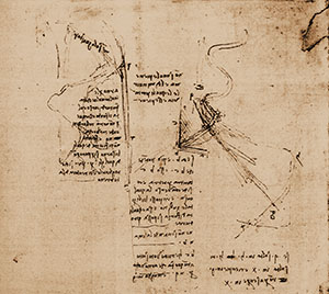 Codice Atlantico, 404 v. - Foglio con schizzi e note sul corso dell'Arno e del Mensola, c. 1503.