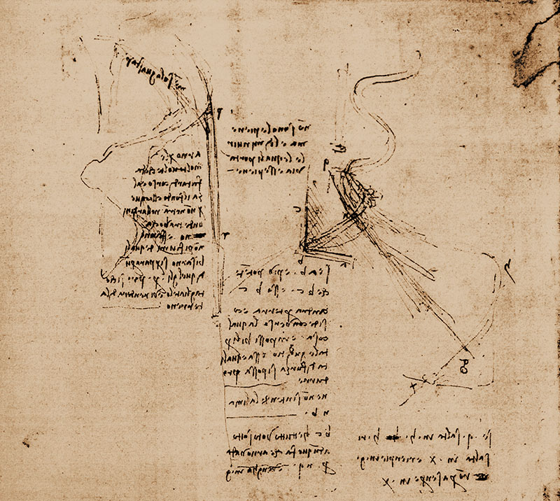 Codice Atlantico, 404 v. - Foglio con schizzi e note sul corso dell'Arno e del Mensola, c. 1503.